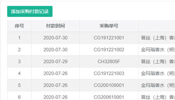 付款记录查看